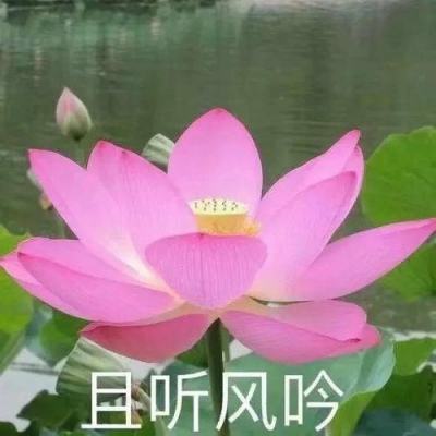 乐鱼电竞体育平台官网